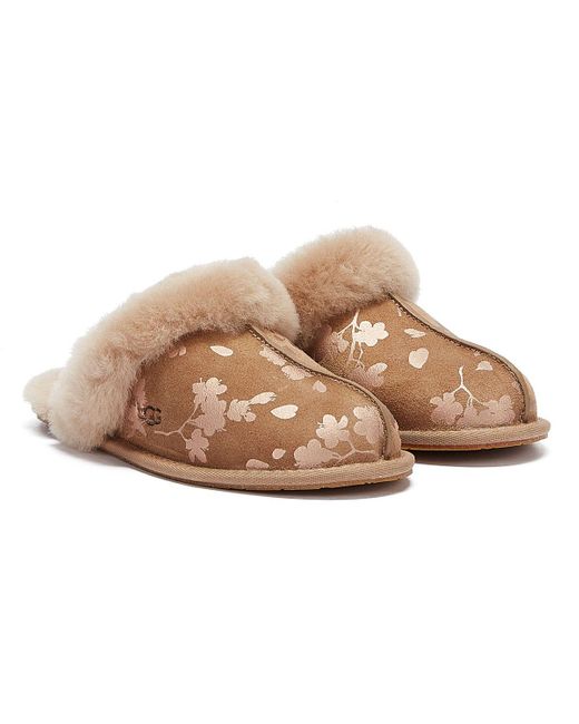 brown ugg slippers