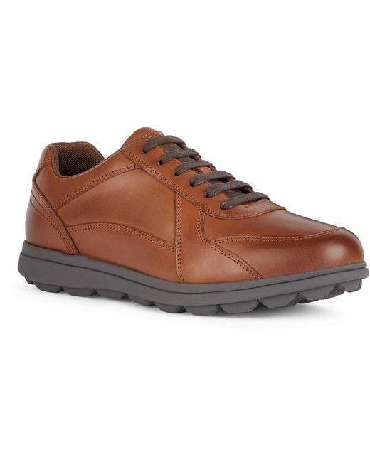 Geox Brown U Spherica Ec12 Leather Bovine Full Grain Cognac Trainers for men