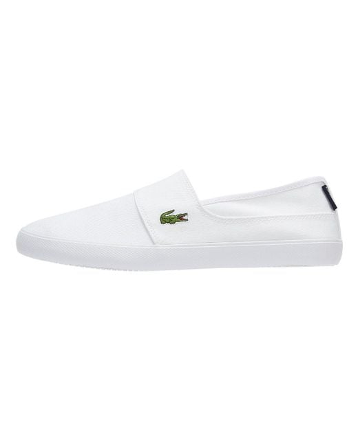 lacoste maurice