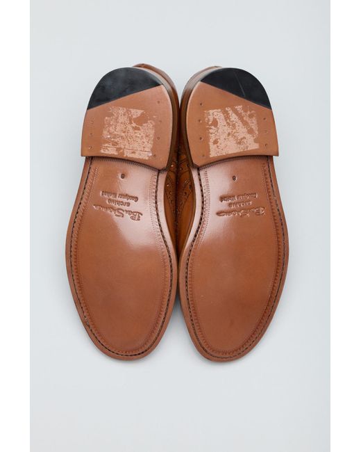 Ben Sherman Sugarman Brogue Leder Schnürschuhe in Brown für Herren