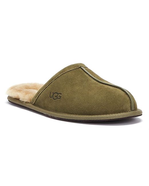 olive green uggs men