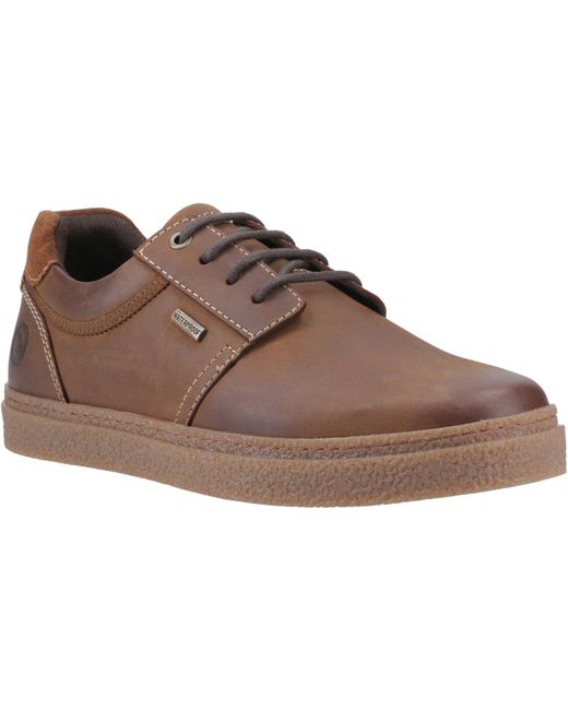 Cotswold Brown Sapperton Leather Lace-Up Shoes for men