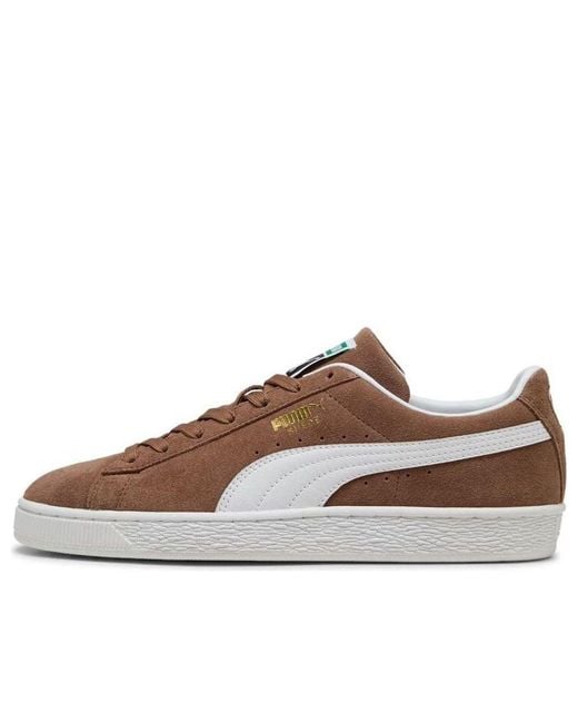 PUMA Brown Classic Suede Haute Coffee/ Trainers