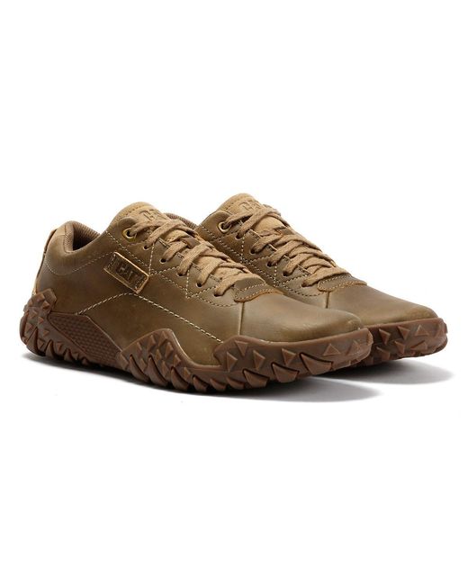 Caterpillar Brown Gridlock Lo Full Grain Leather Beaned Lace-Up Shoes for men