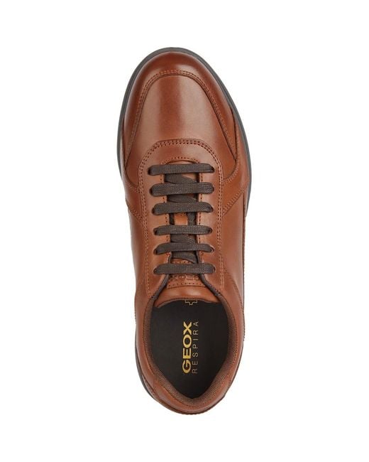Geox Brown U Spherica Ec12 Leather Bovine Full Grain Cognac Trainers for men