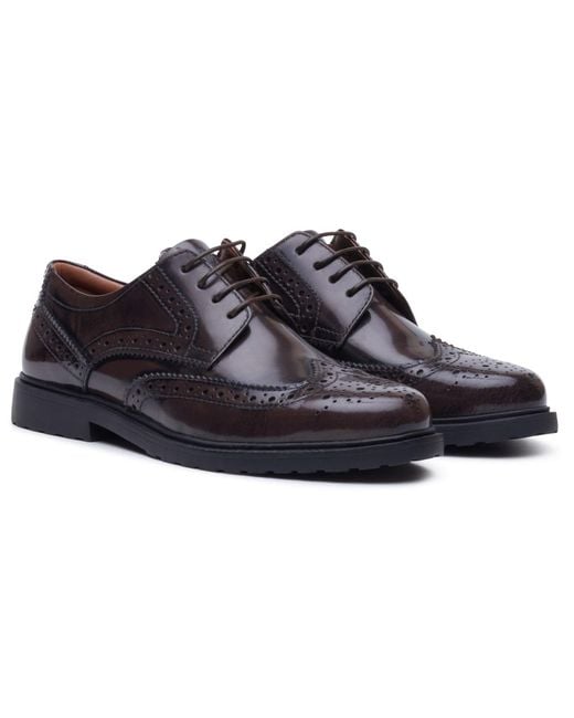 Hush Puppies Blue Verity Hi-Shine Leather Chocolate Brogues Shoes