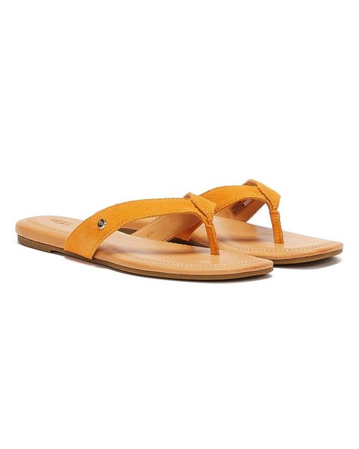 flip flop femme ugg flip flop femme ugg