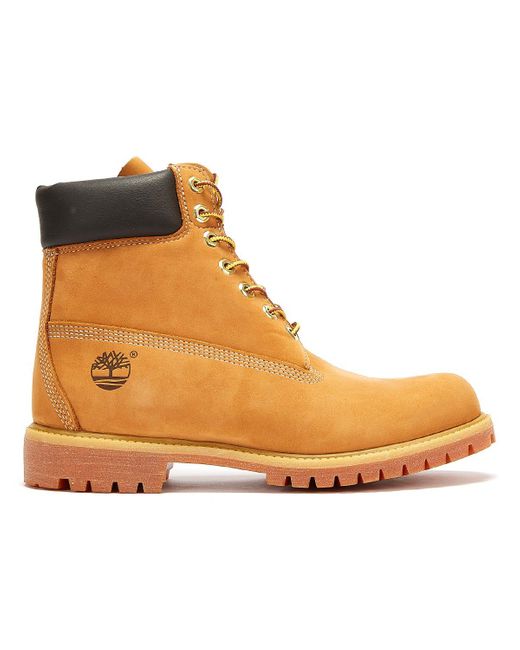wheat timberlands on sale