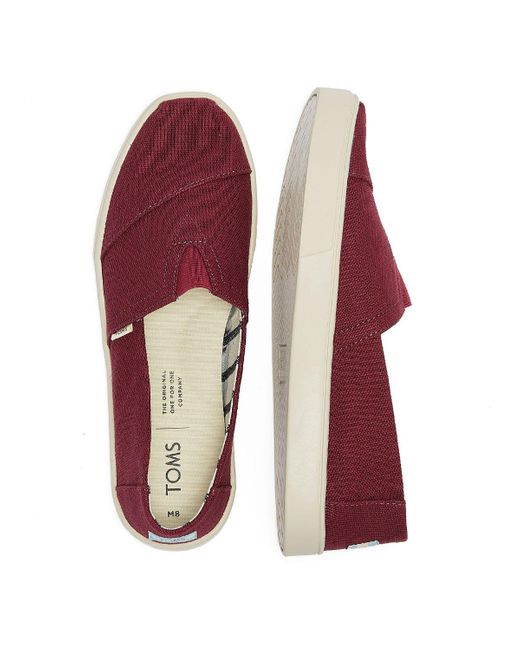 burgundy toms mens