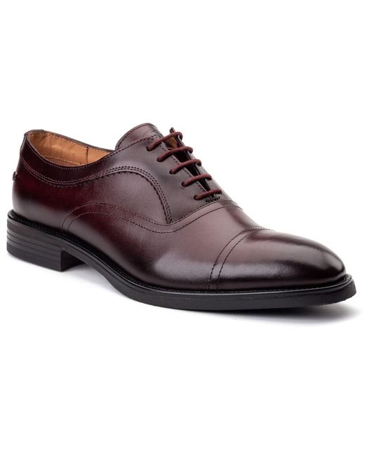 Base London Brown Lapel Leather Bordo Oxford Shoes for men