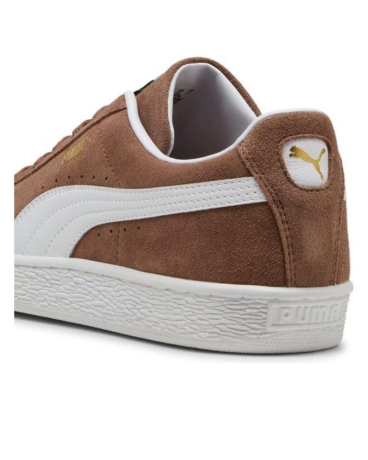 PUMA Brown Classic Suede Haute Coffee/ Trainers