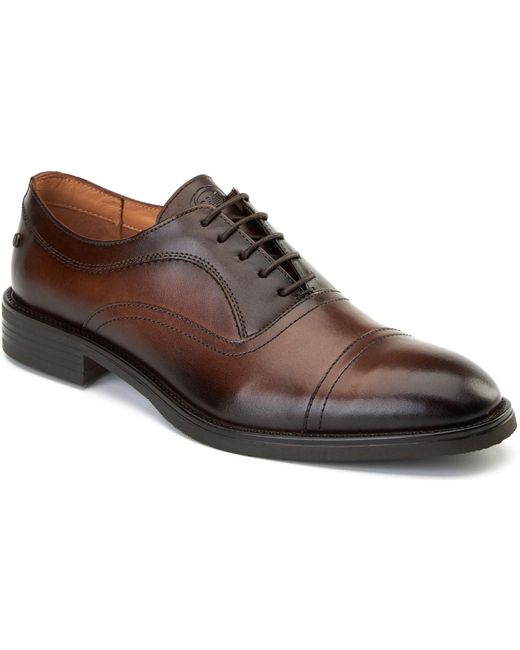 Base London Brown Lapel Leather Oxford Shoes for men