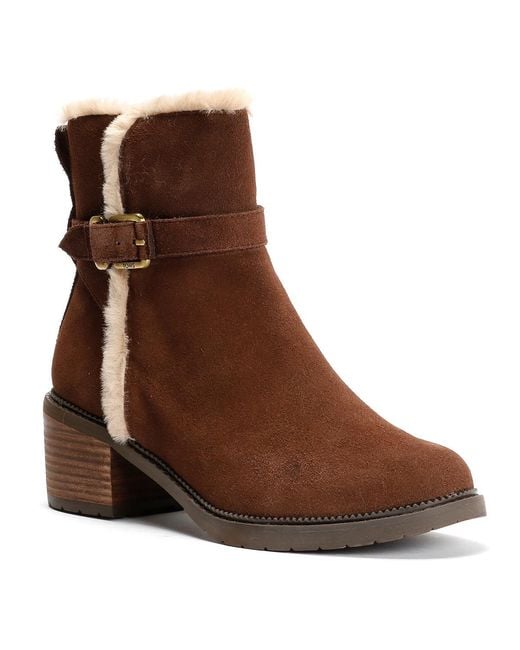 TOMS Brown Hailey Buckle Suede Dark Boots