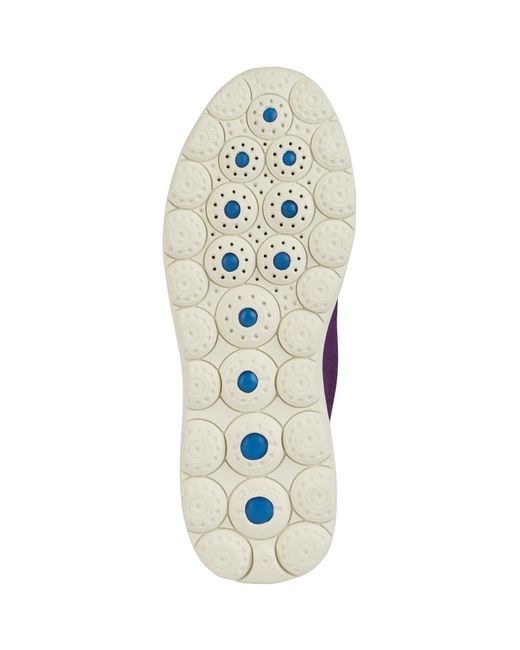 Geox Purple D Spherica a Leder-sneaker