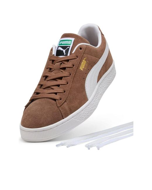 PUMA Brown Classic Suede Haute Coffee/ Trainers
