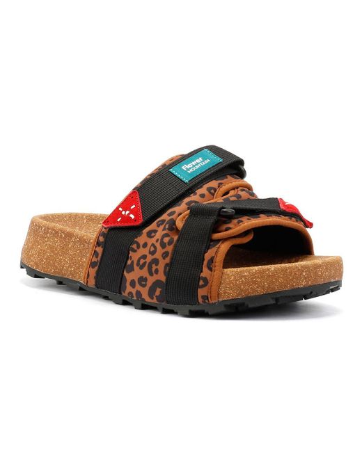 Flower Mountain Brown Niwa Slider Nylon Slides