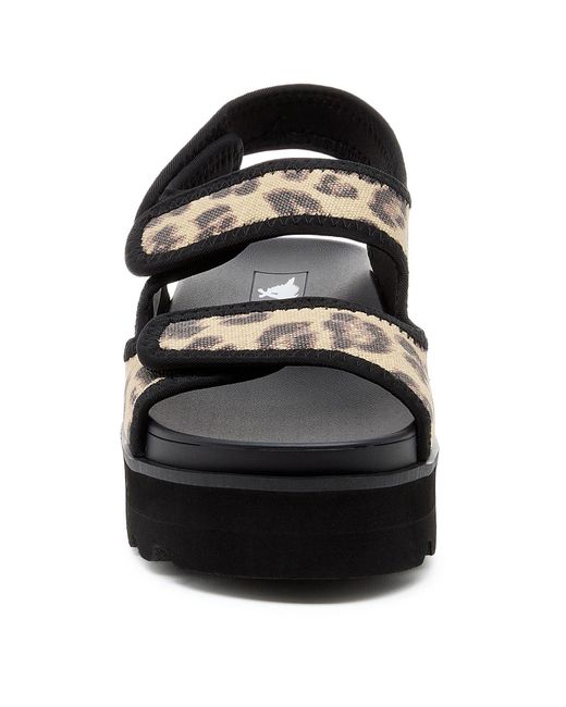 Rocket Dog Black Balmy Dexter Textile Tan/ Sandals