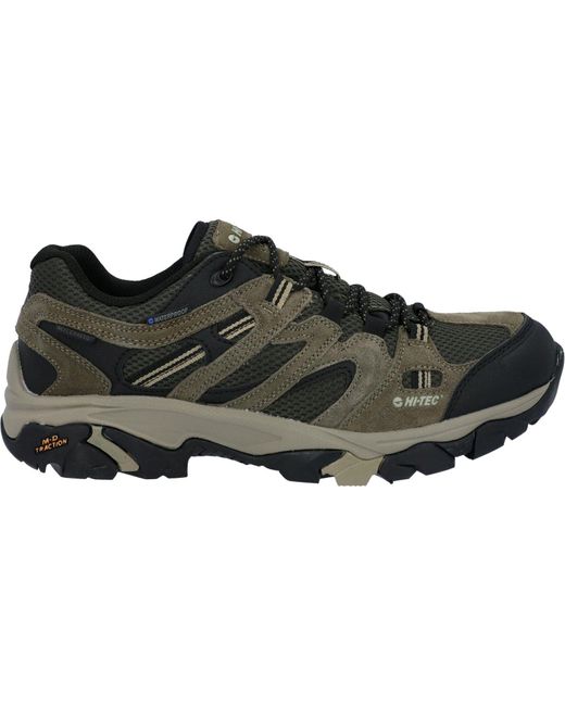 Apex Lite Low Stivali Da Trekking Uomo di Hi-tec in Brown