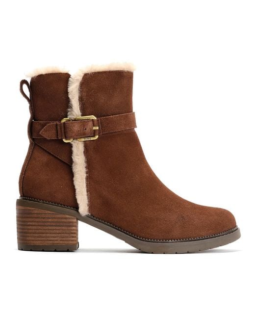 TOMS Brown Hailey Buckle Suede Dark Boots