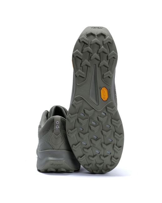Saucony Gray Peregrine 16 Gtx Laurel/Sage Trainers for men