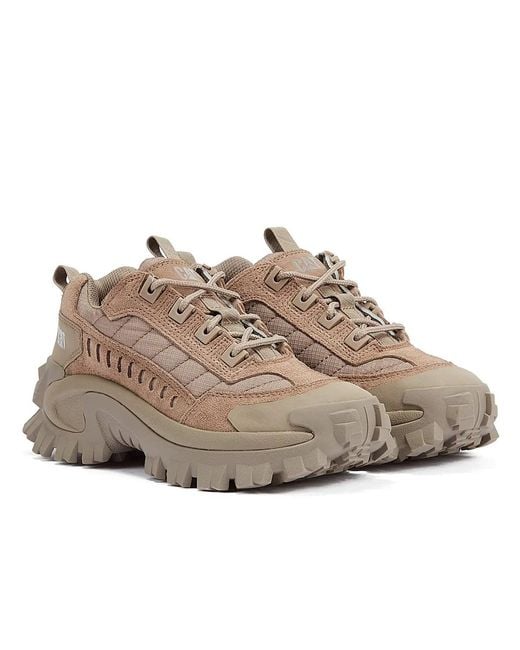 Caterpillar Gray Intruder Fungi Trainers