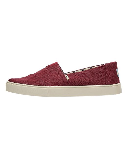 burgundy toms mens