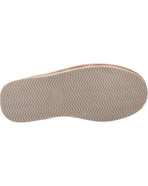 Arianna Chaussons Hush Puppies en coloris Brown