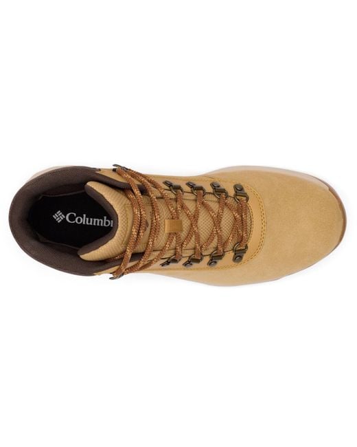 Columbia Natural Newton Wander Suede Curry/Cordovan Hiking Boots for men