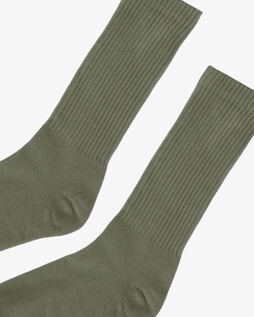 Womens Clothing Hosiery Socks COLORFUL STANDARD Calcetines Active Socks 