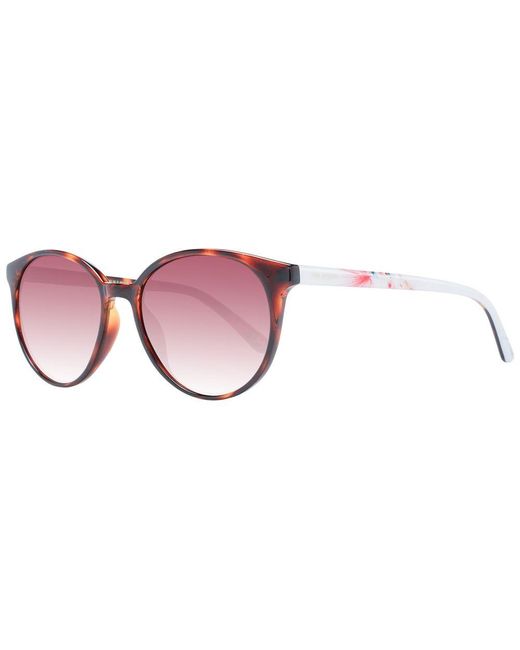Ted Baker Purple Brown Sunglasses