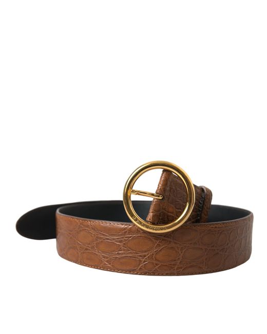 Dolce & Gabbana Brown Elegant Exotic Leather Belt
