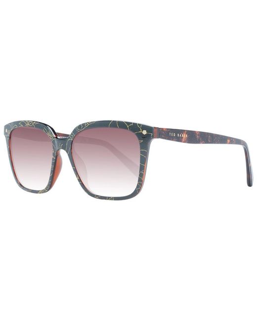 Ted Baker Brown Multicolor Sunglasses