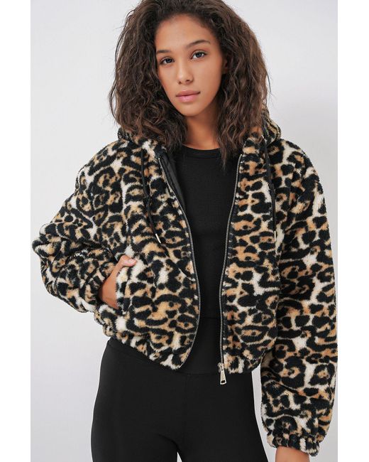 Bigdart Black 5193 Modell Plüsch-Crop-Jacke Mit Kapuze – D.Coffee Für Damen