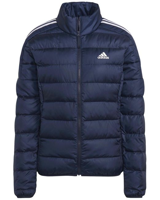 Adidas Blue Winterjacke basic
