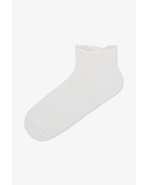 Penti Blue 2 Paar Baumwoll-Rüschen-Booties-Socken Für Damen