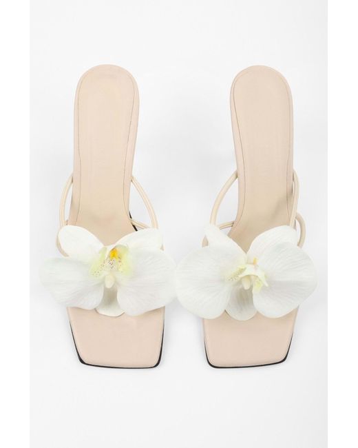 Shoeberry Black Hausschuhe Mit Orchideen--Haut-Blumenschnalle Und Absatz Für Damen