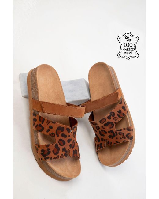 Soho Brown Leopard-Taba Echtes Leder Hausschuhe Für Damen