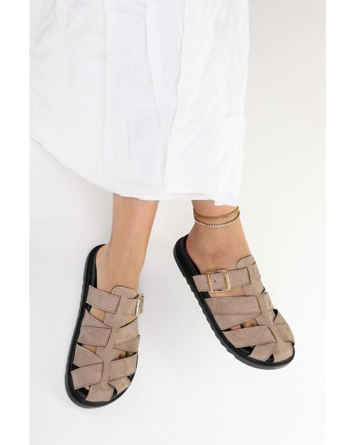 Shoeberry Black Hausschuhe Vion Nerz-Wildleder Mit Schnallendetail Für Damen