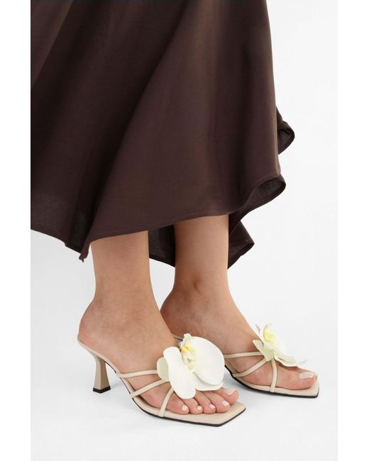 Shoeberry Black Hausschuhe Mit Orchideen--Haut-Blumenschnalle Und Absatz Für Damen
