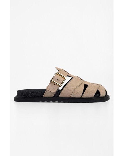 Shoeberry Black Hausschuhe Vion Nerz-Wildleder Mit Schnallendetail Für Damen