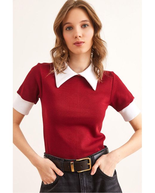 Olalook Red Burgunder Hemdkragen Flexible Baumwollbluse Blz- 19002869 Für Damen