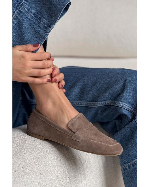 NİŞANTAŞI SHOES Blue Sabre Dunkelbeige Echtes Wildleder Flache Sohle Babet Für Damen