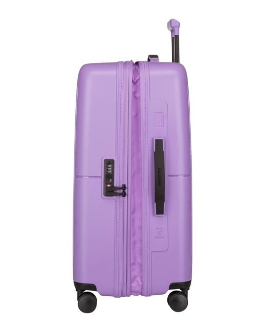 American Tourister Purple Koffer & trolley dashpop spinner 67 exp - one size