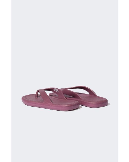 Defacto Purple Eva-Hausschuhe Mit Flacher Sohle D6535Ax24Sm Für Damen