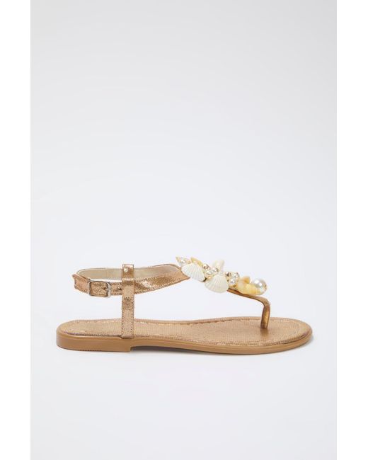 Trendyol White Bronze Sea Conch Pearl Detaillierte Flip-Flop-Stilvolle Sandalen Für Damen