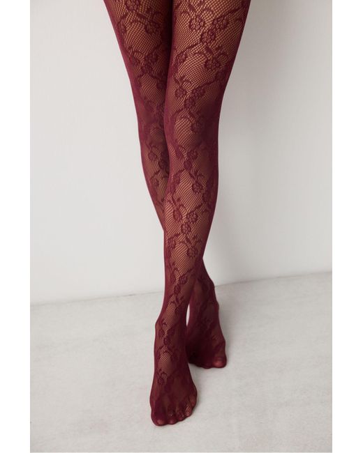 Penti Blue Weinrote Netzstrumpfhose Mit Blumenmuster Für Damen