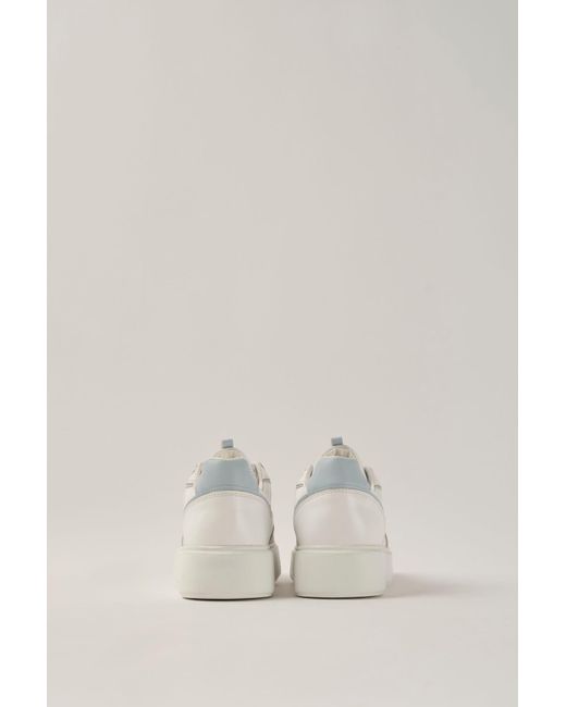 Ted Baker Natural Blau Freizeitschuhe Tbfw24Fcs001 Für Damen