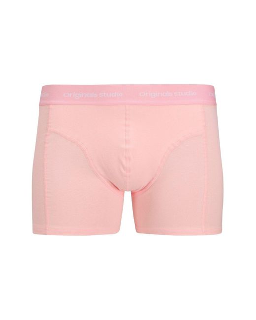 Jack & Jones Shorts Shorts Für Herren in Pink für Herren