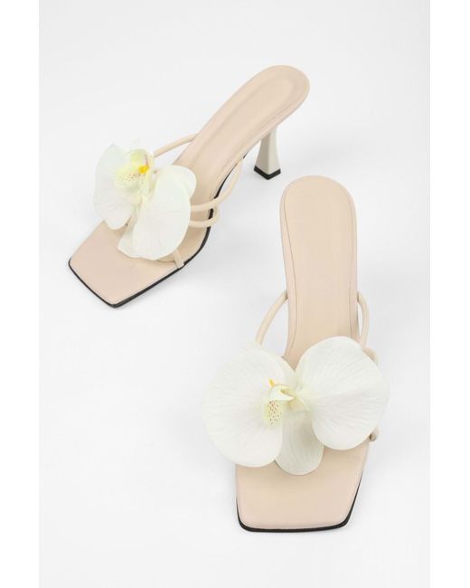 Shoeberry Black Hausschuhe Mit Orchideen--Haut-Blumenschnalle Und Absatz Für Damen
