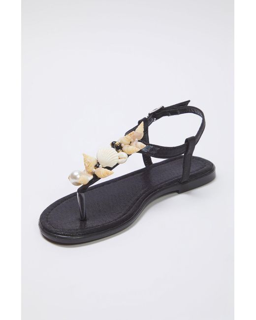 Trendyol Black Stilvolle Flip-Flop-Sandalen Mit Schwarzen Muschelperlen Und Details Für Damen